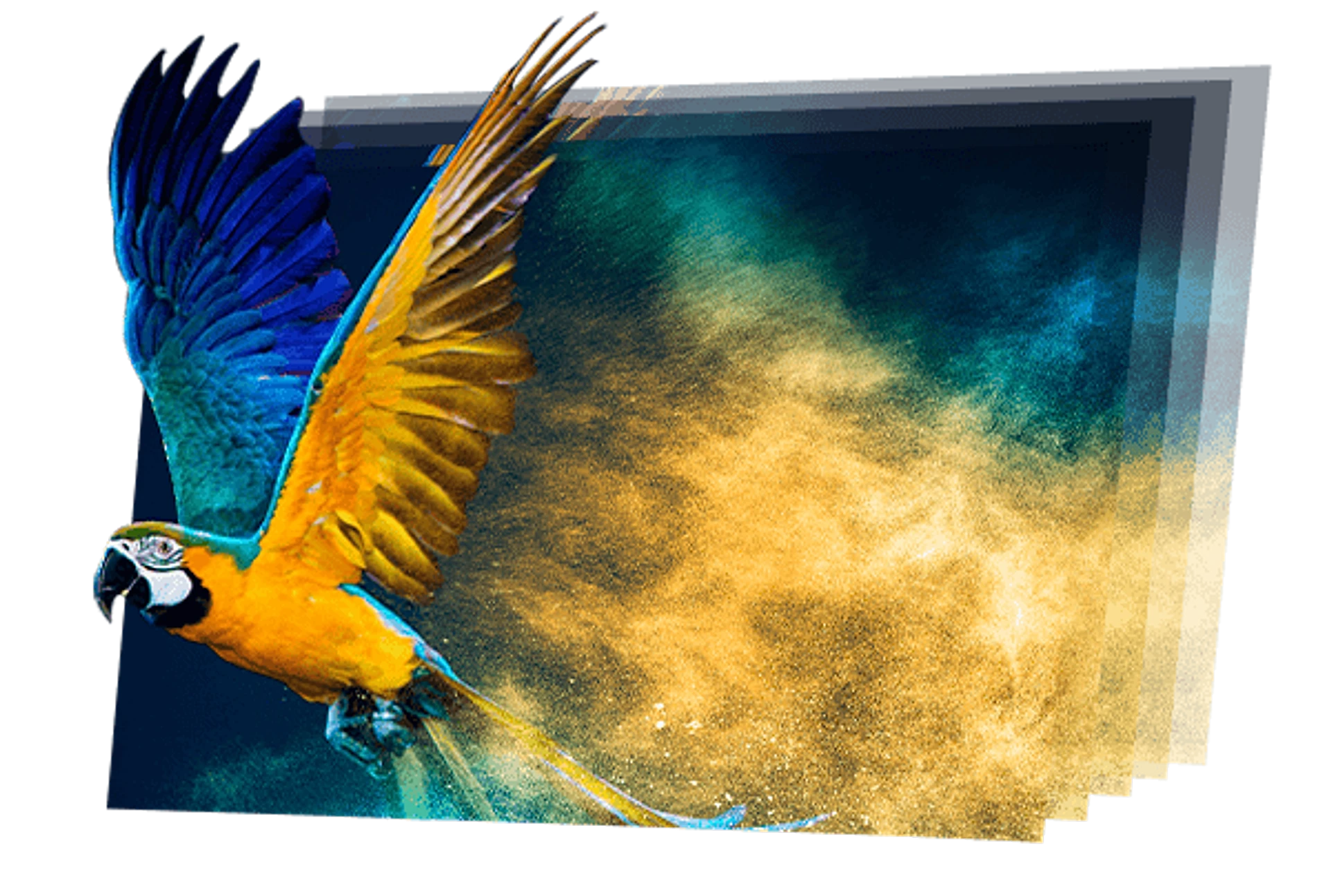 Fine Pitch XP Series — 5 Fine pitch led screen XP series is low brightness high grayscale and