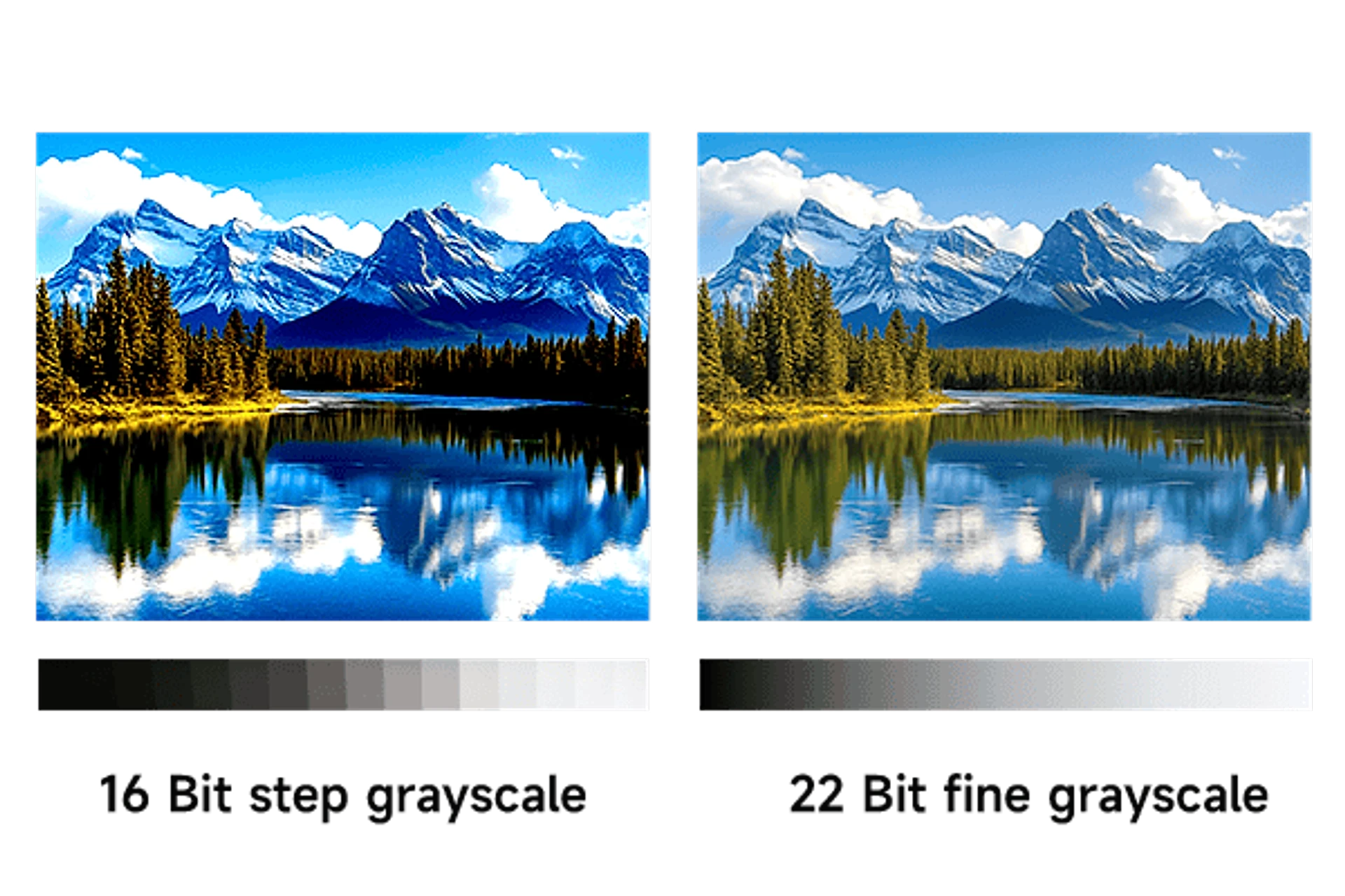 Fine Pitch XC Series — 3 COB LED screen with HDR High Dynamic Picture.png